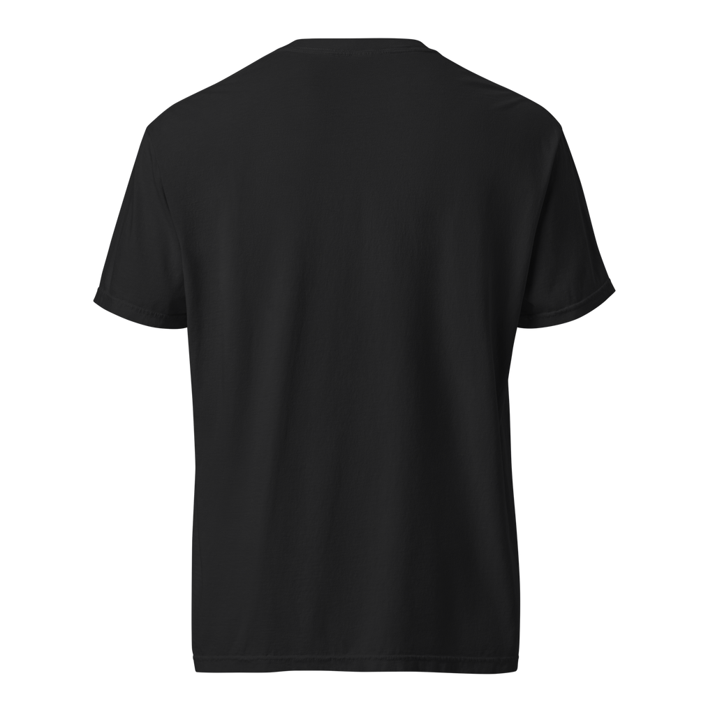 Black, Poly & Unapologetic heavyweight tee — black, back view.