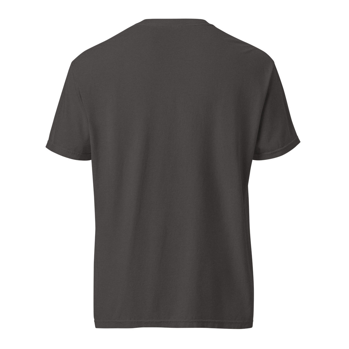 Black, Poly & Unapologetic heavyweight tee — graphite, back view.