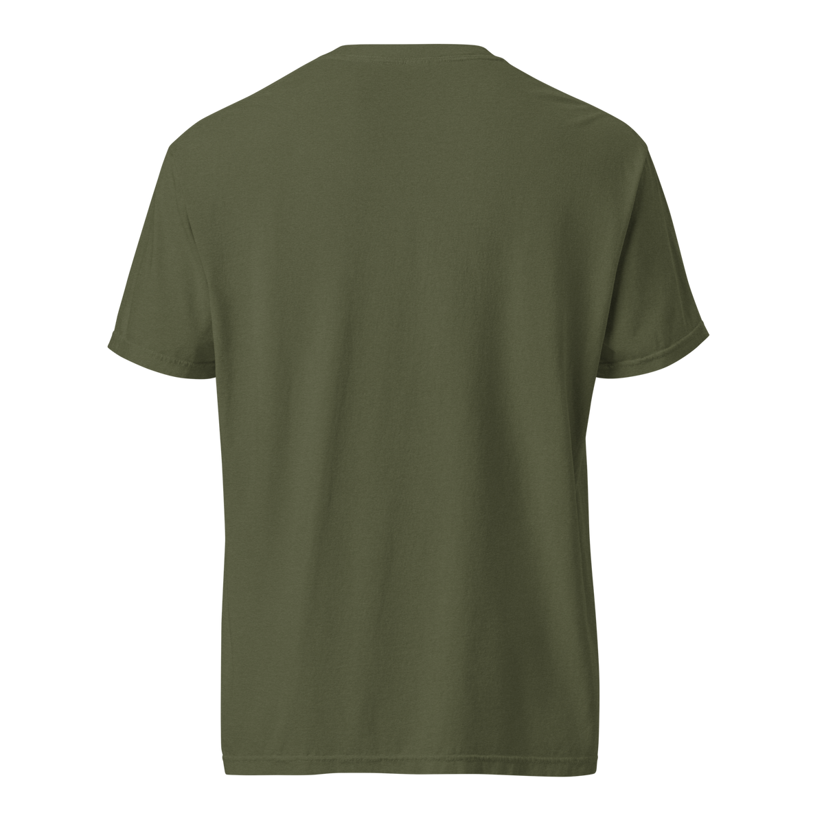 Black, Poly & Unapologetic heavyweight tee — hemp, back view.