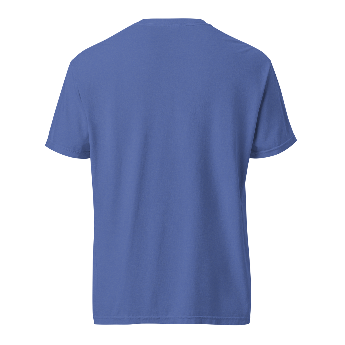 Black, Poly & Unapologetic heavyweight tee — mystic blue, back view.