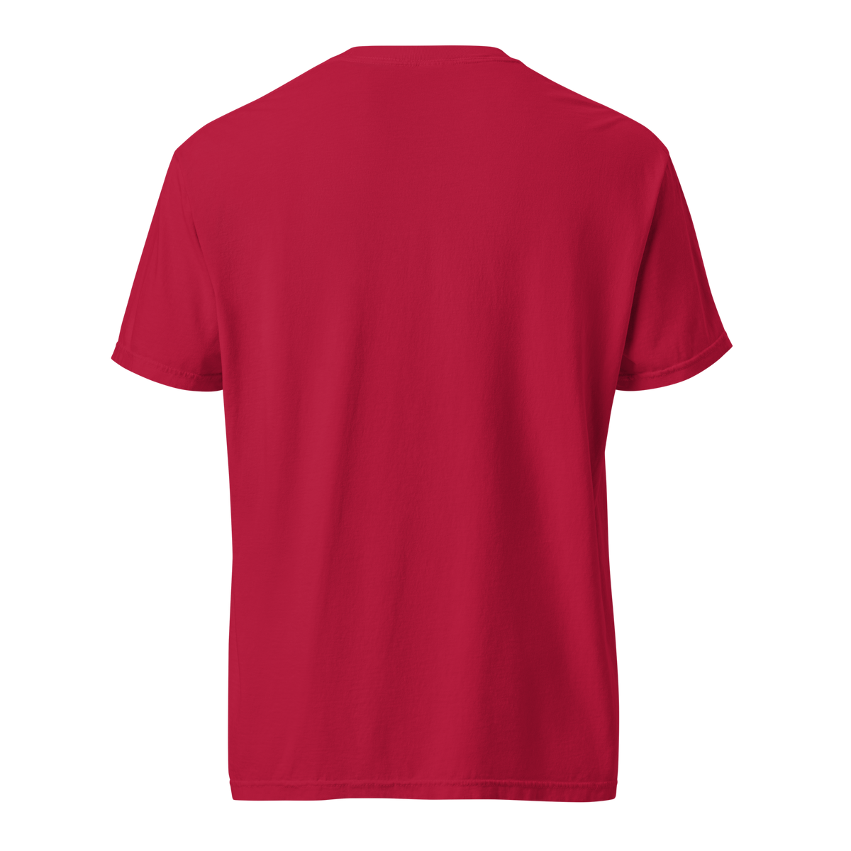 Black, Poly & Unapologetic heavyweight tee — red, back view.
