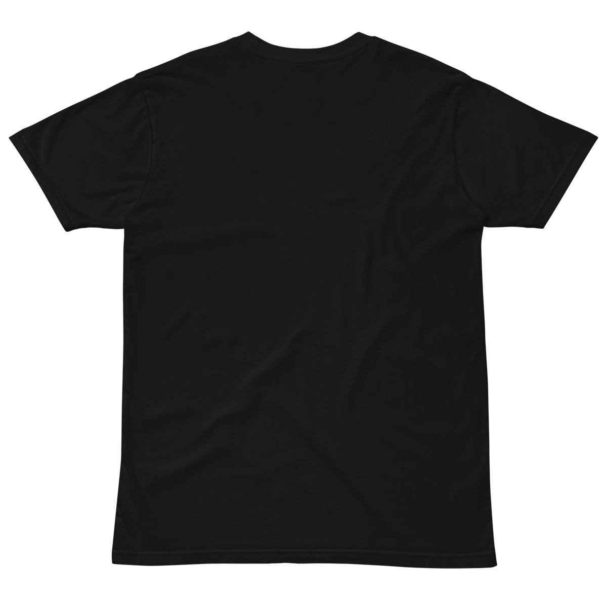 Compersion Over Comparison premium tee — black, back view.