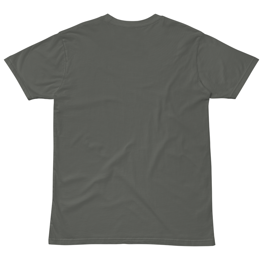 Compersion Over Comparison premium tee — charcoal, back view.