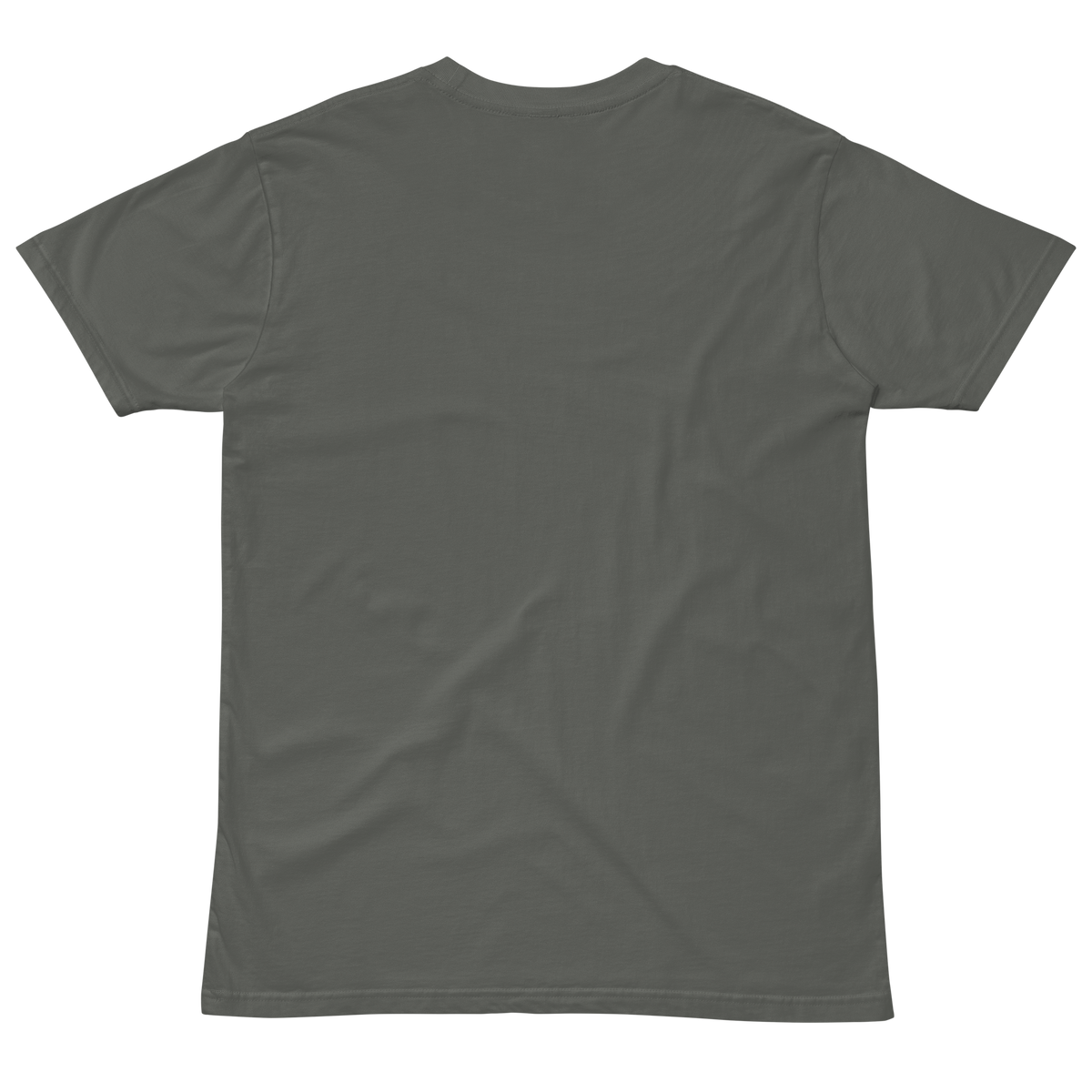 Compersion Over Comparison premium tee — charcoal, back view.