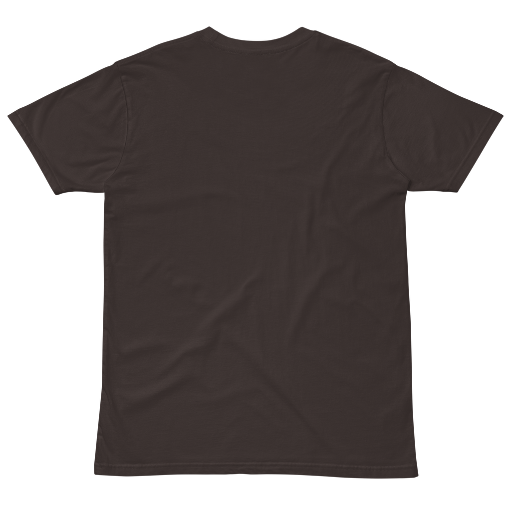 Compersion Over Comparison premium tee — coal, back view.
