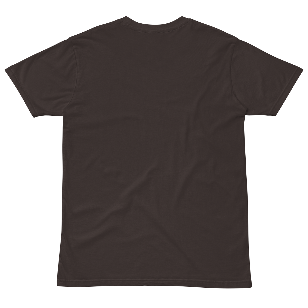 Compersion Over Comparison premium tee — coal, back view.