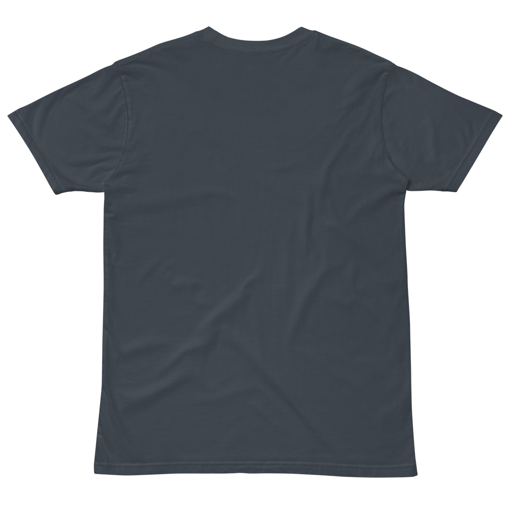 Compersion Over Comparison premium tee — petrol blue, back view.