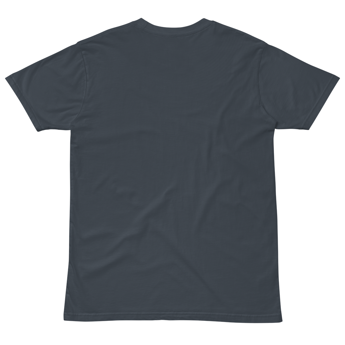 Compersion Over Comparison premium tee — petrol blue, back view.