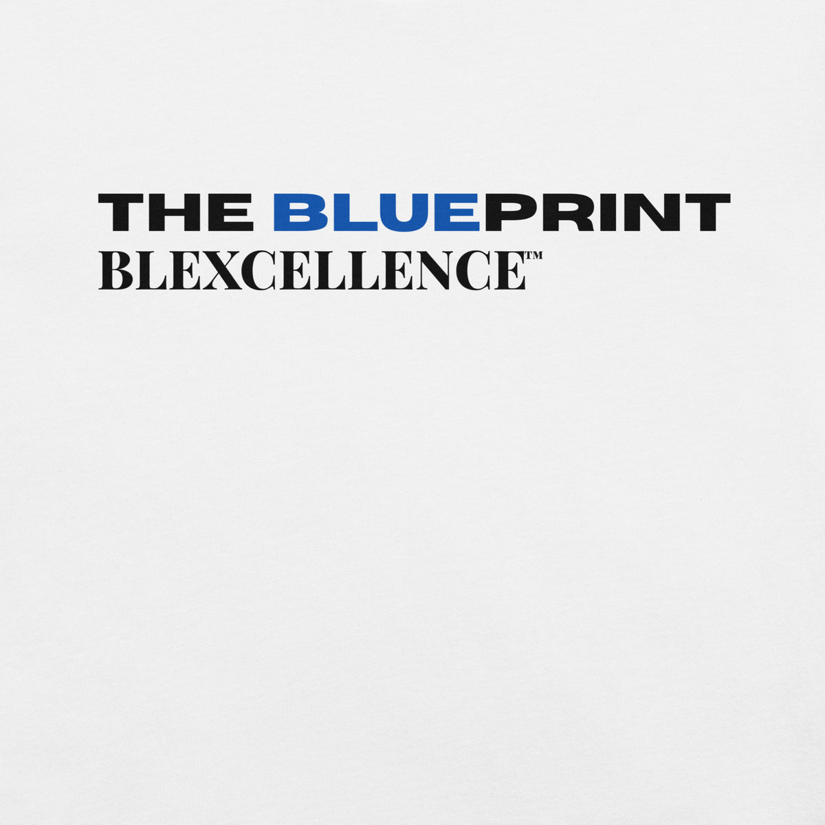 The Blueprint Tee by BLEXCELLENCE, alternate front view on white shirt